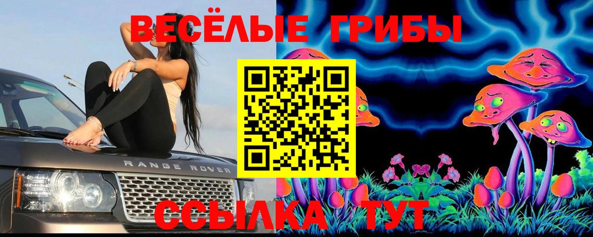 Псилоцибиновые грибы ЛСД  Вход с VPN  Алексин  Псилоцибиновые грибы Psilocybe 